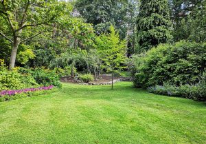 Optimiser l'expérience du jardin à Anneville-sur-Scie